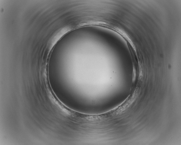 X0000067830906200604131158