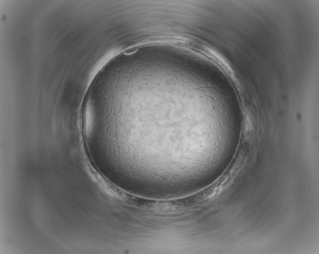 X0000067830907200604131158