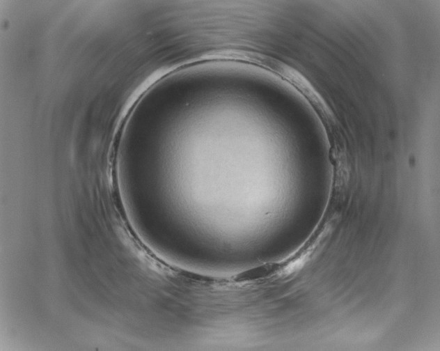 X0000067830908200604131158