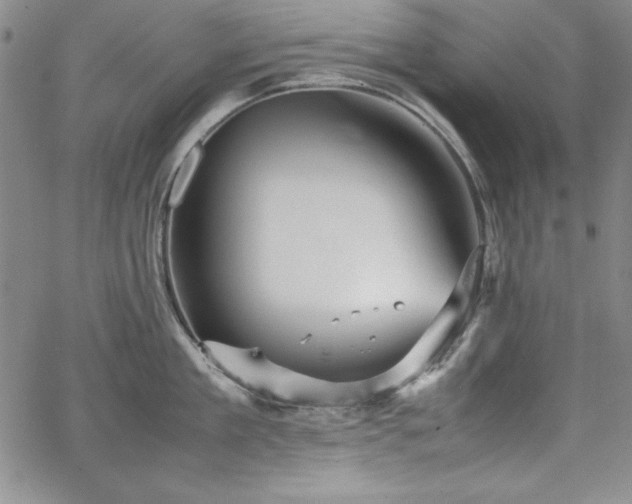 X0000067830909200604131158