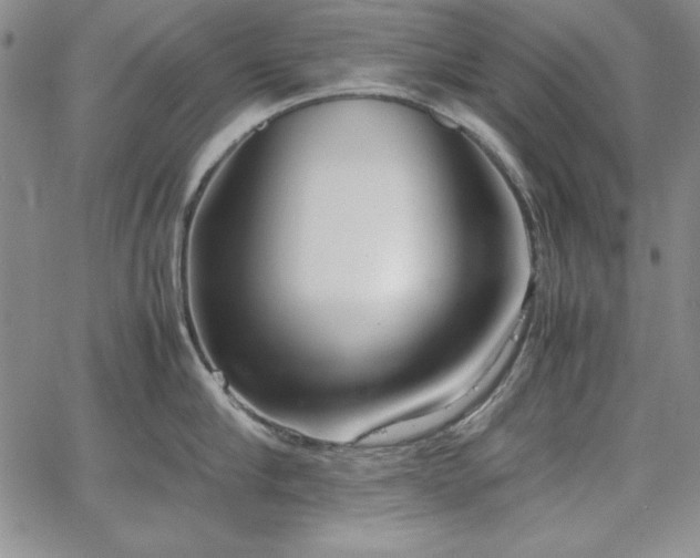 X0000067830910200604131158