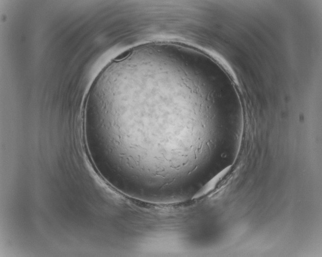 X0000067830911200604131158