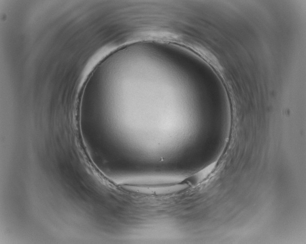 X0000067830912200604131158