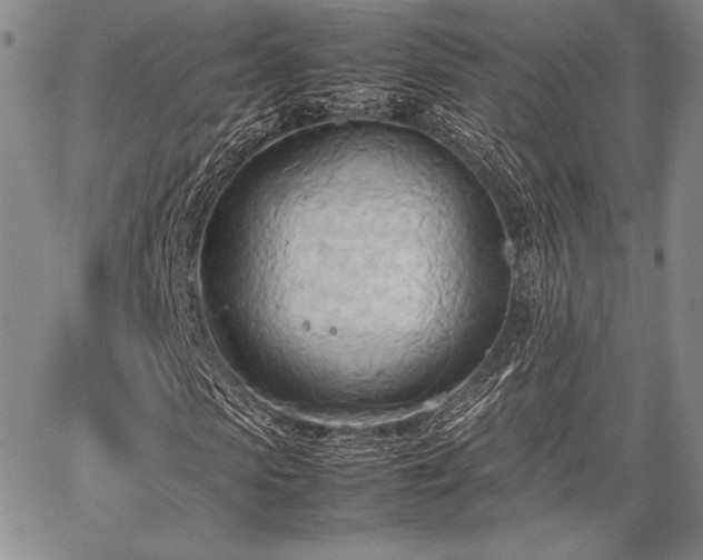 X0000067830913200604131157