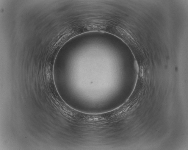 X0000067830915200604131157