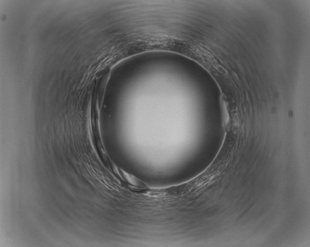 X0000067830916200604131157