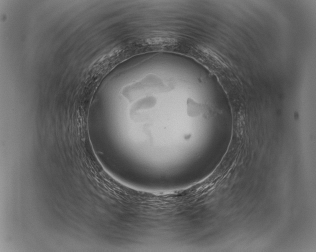 X0000067830917200604131157