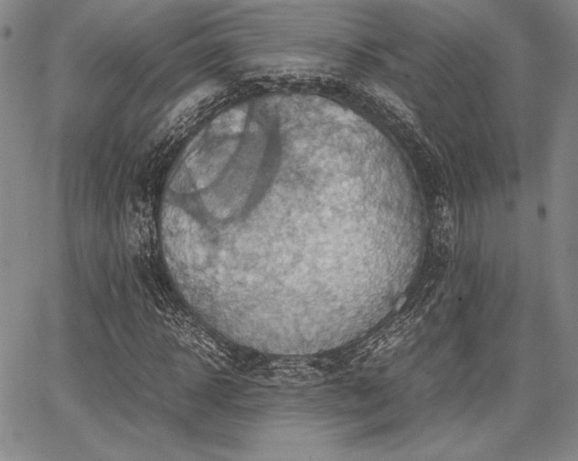 X0000067830918200604131157