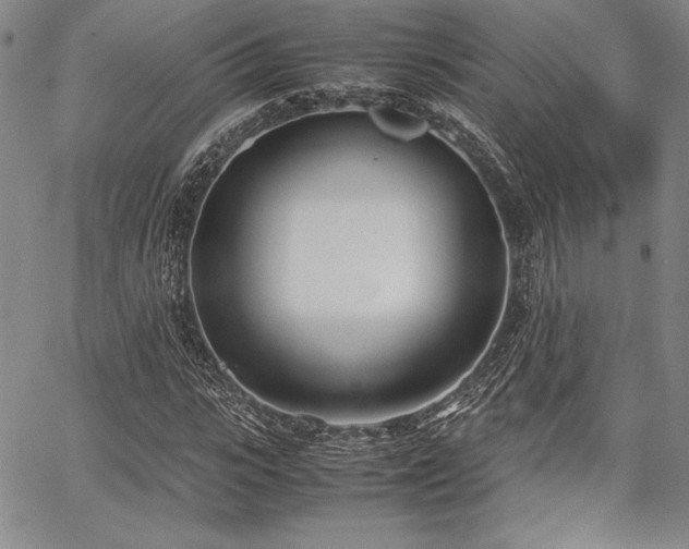 X0000067830919200604131157