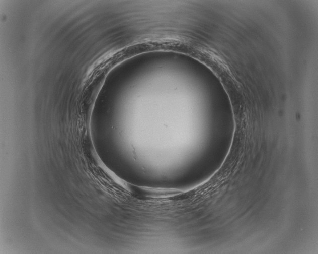 X0000067830920200604131157