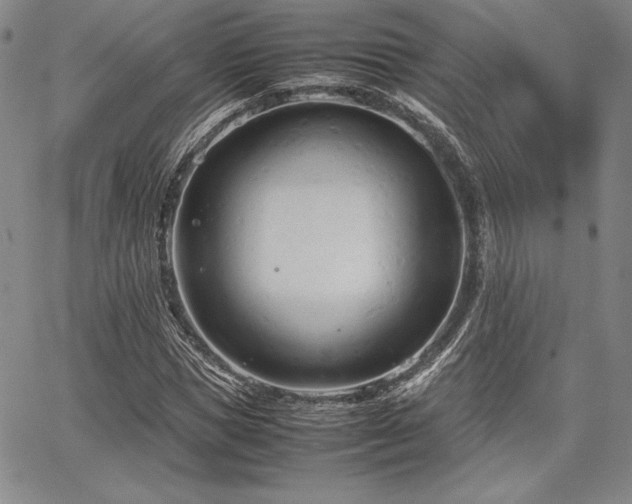 X0000067830921200604131157