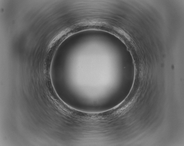 X0000067830922200604131157