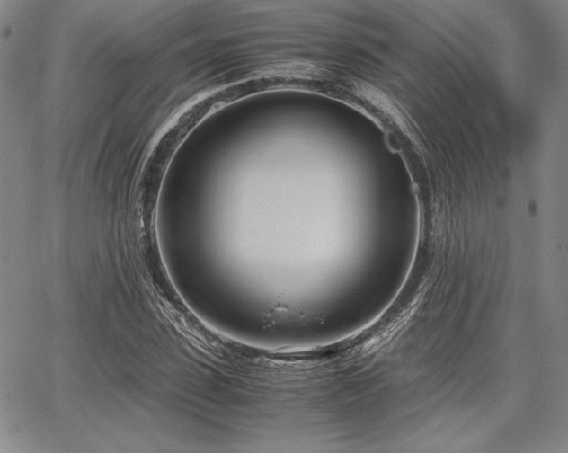 X0000067830923200604131157