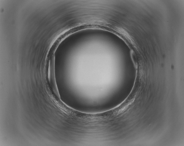 X0000067830924200604131157