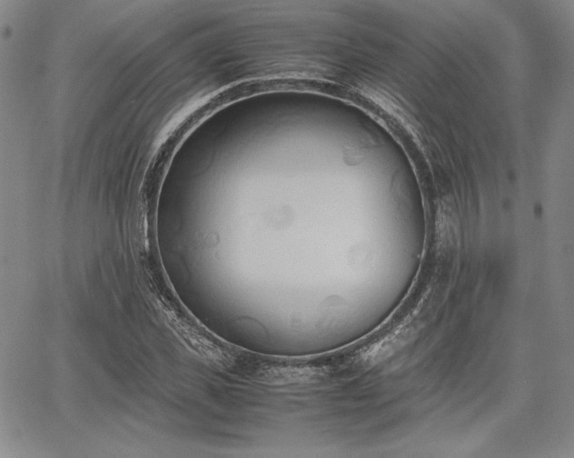 X0000067830925200604131157