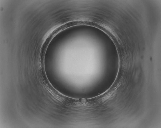 X0000067830927200604131157