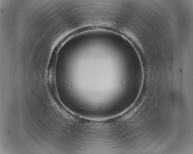 X0000067830928200604131157