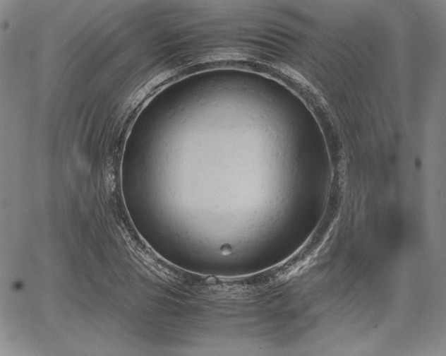 X0000067830929200604131157