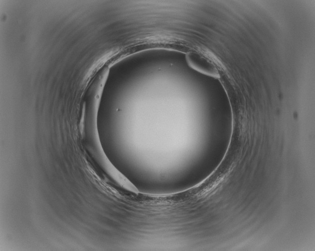 X0000067830930200604131157