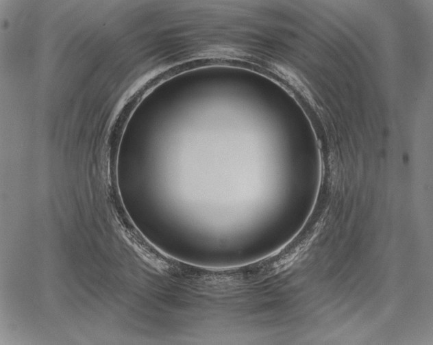 X0000067830931200604131157