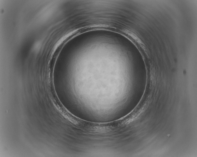 X0000067830933200604131157