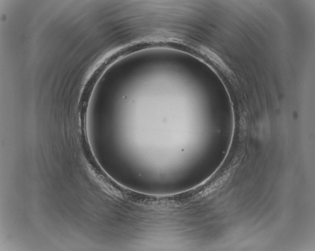 X0000067830934200604131157