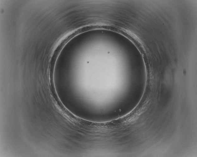 X0000067830935200604131157