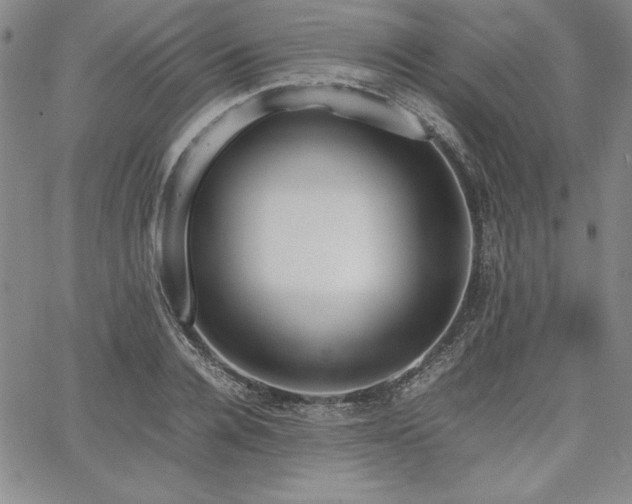 X0000067830936200604131157