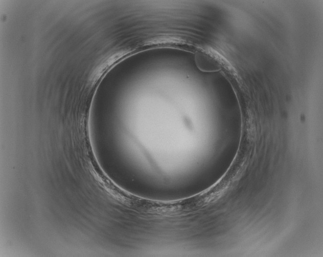 X0000067830937200604131157