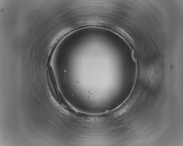 X0000067830938200604131157