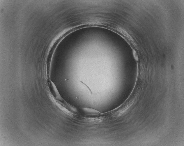 X0000067830939200604131157