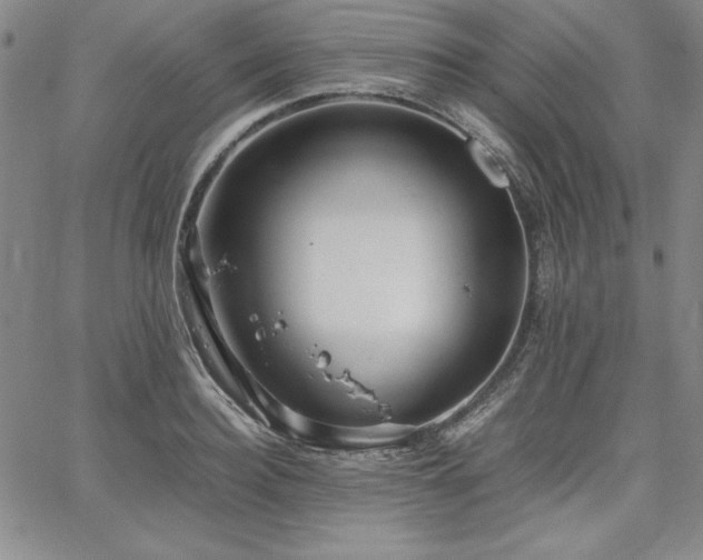 X0000067830940200604131157