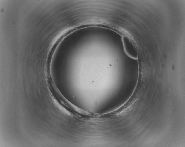 X0000067830942200604131157