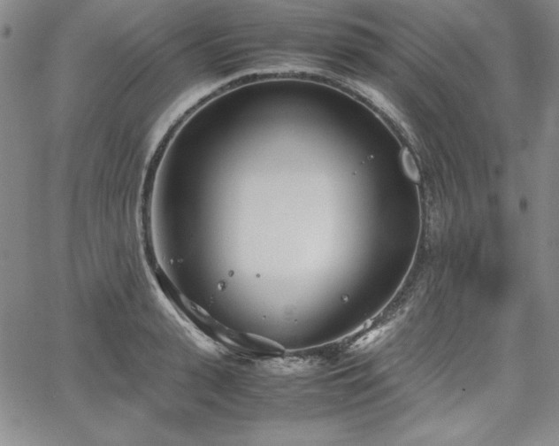 X0000067830943200604131157