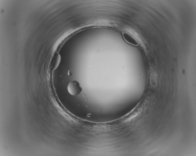 X0000067830944200604131157