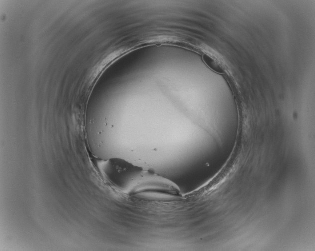 X0000067830945200604131157