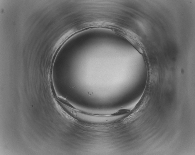 X0000067830946200604131157