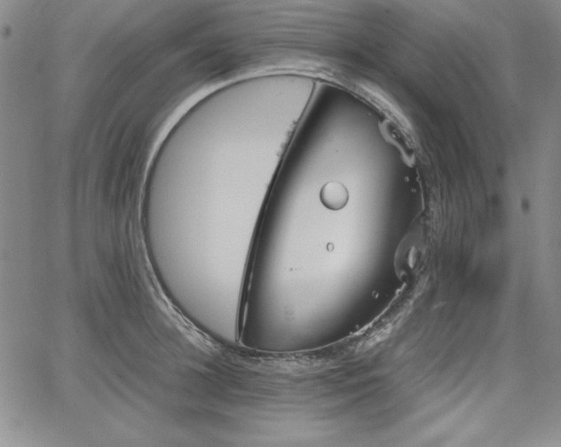 X0000067830948200604131157