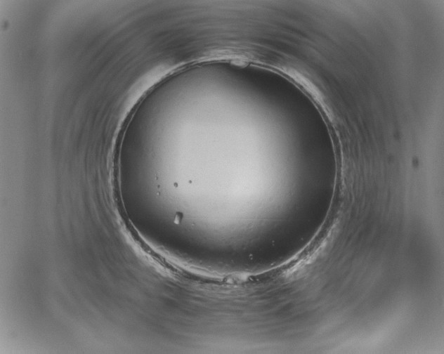 X0000067830949200604131157