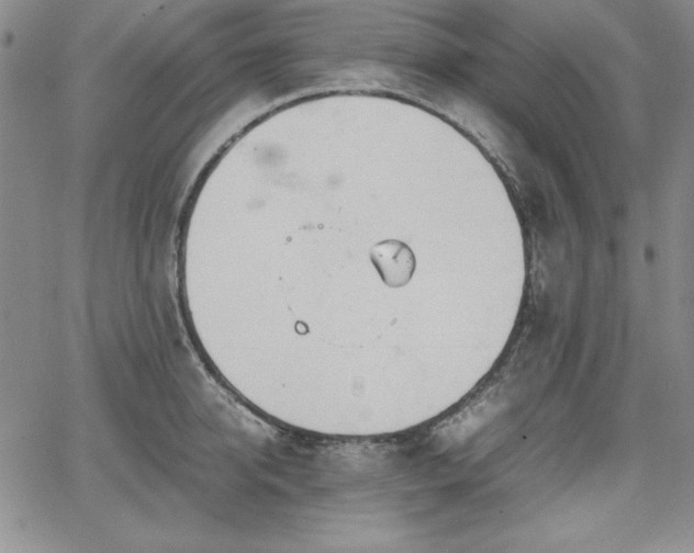 X0000067830950200604131157