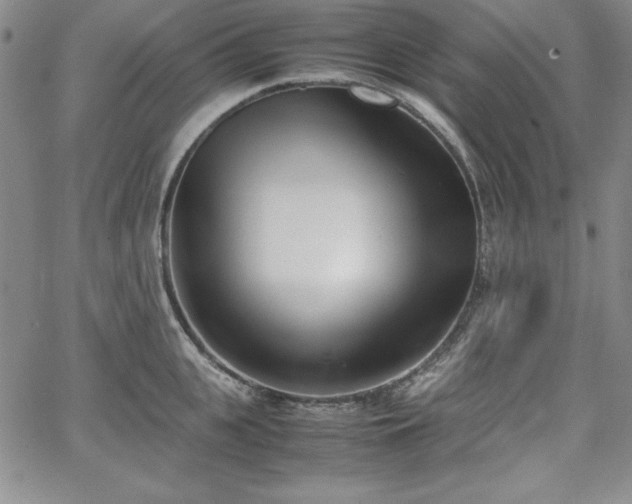 X0000067830951200604131157