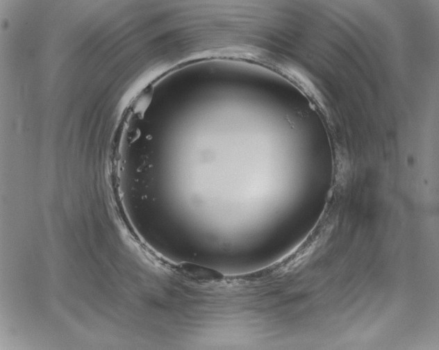 X0000067830952200604131157