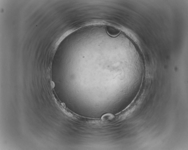 X0000067830953200604131157