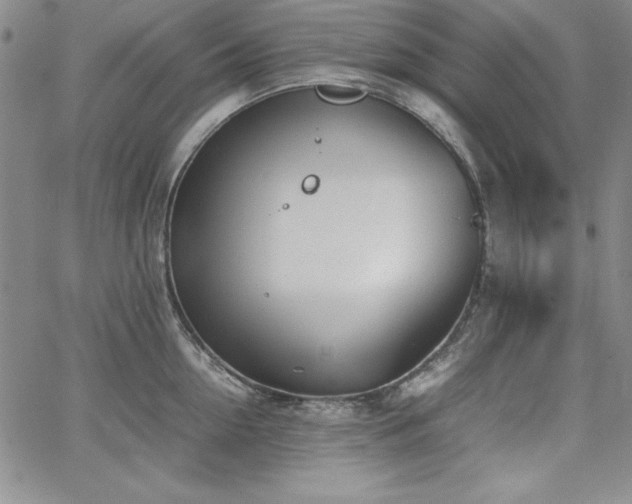 X0000067830954200604131157