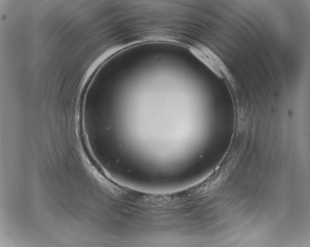 X0000067830955200604131158