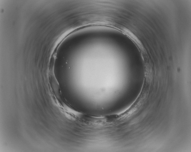 X0000067830956200604131158