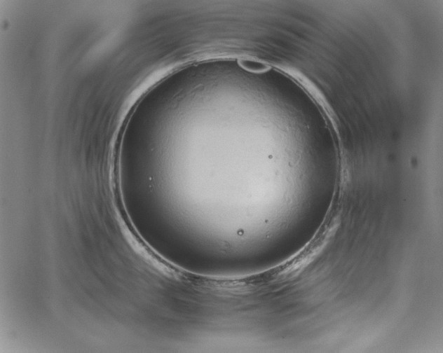 X0000067830957200604131158