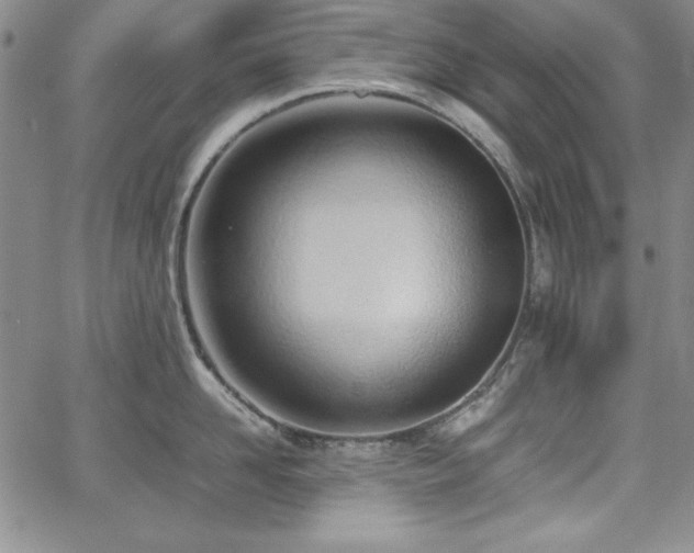 X0000067830958200604131158