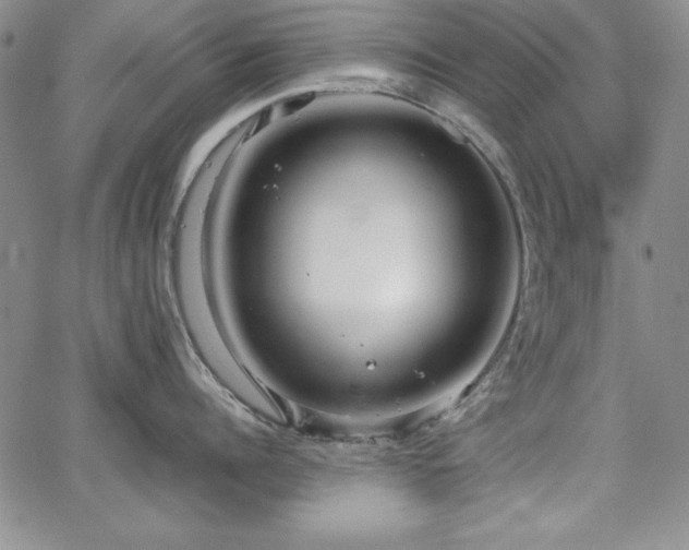 X0000067830960200604131158