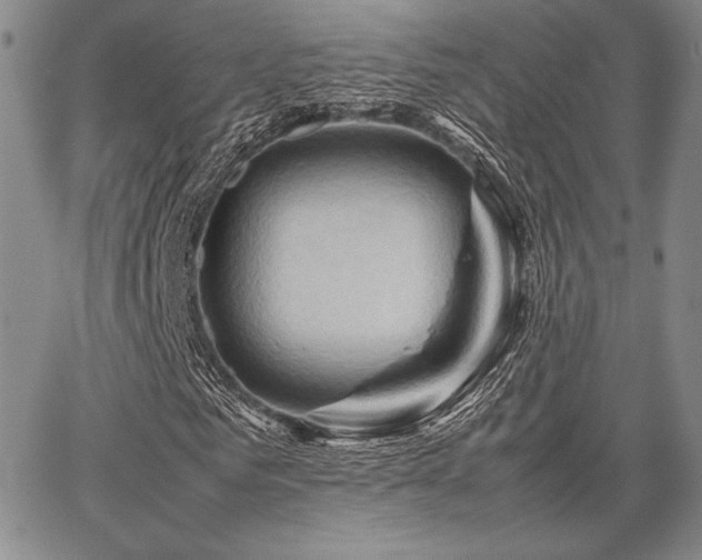 X0000067830961200604131157